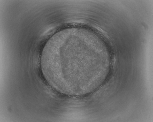 X0000115311014200911231325