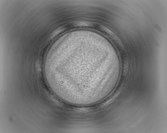 X0000115311017200911231325