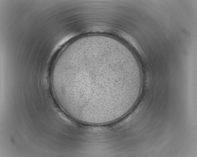 X0000115311018200911231325