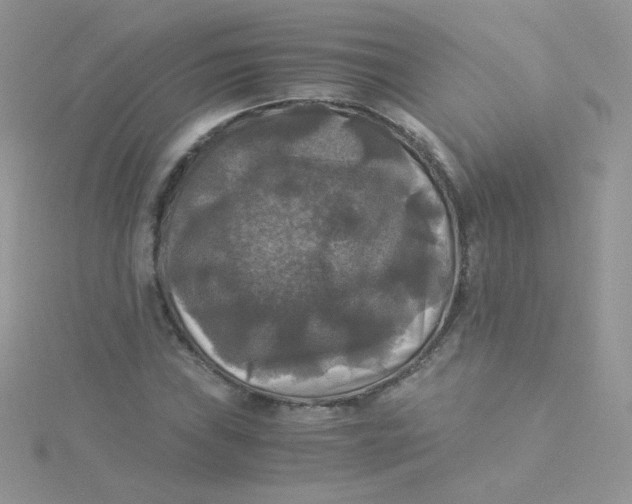 X0000115311019200911231325