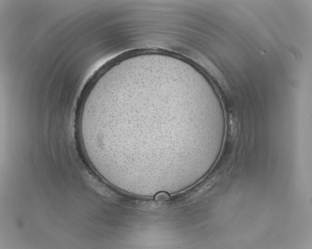 X0000115311020200911231325