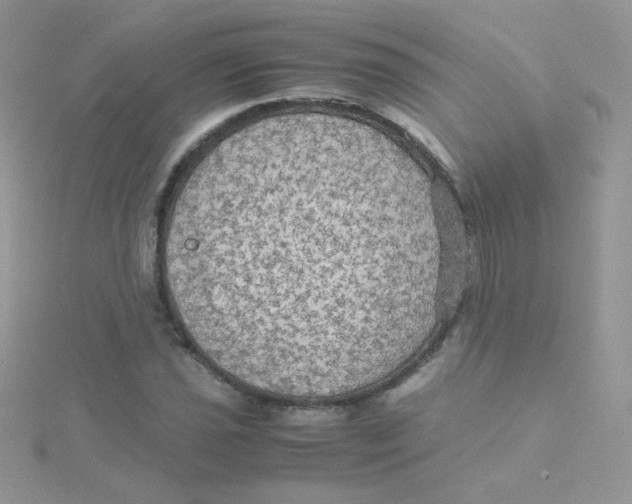 X0000115311021200911231325