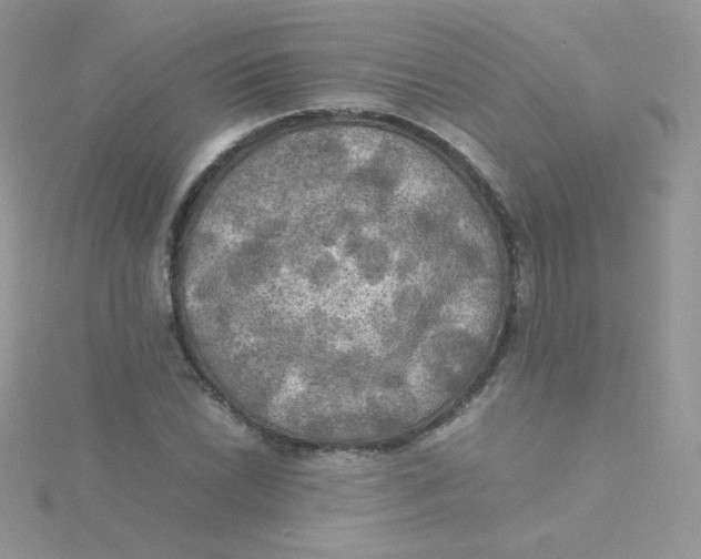 X0000115311022200911231325