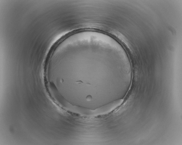 X0000115311024200911231325