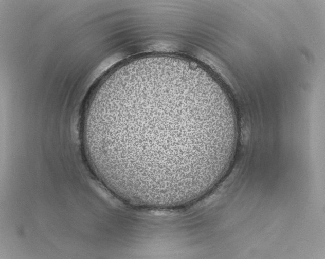 X0000115311026200911231325