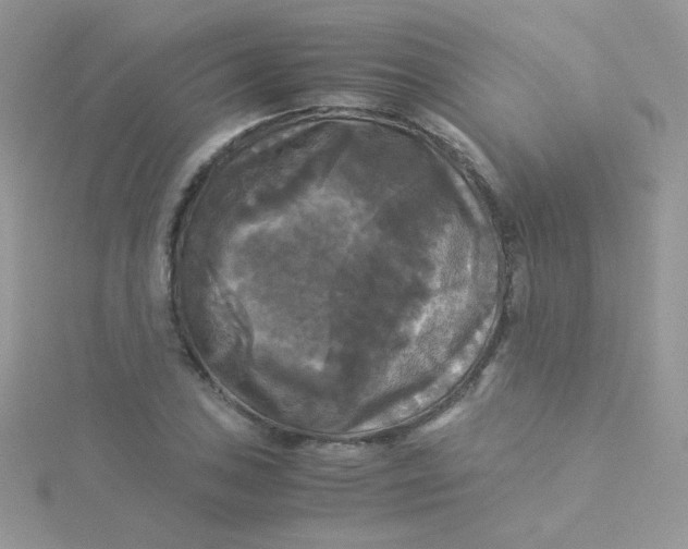 X0000115311027200911231325