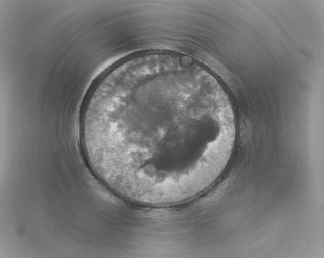 X0000115311028200911231325