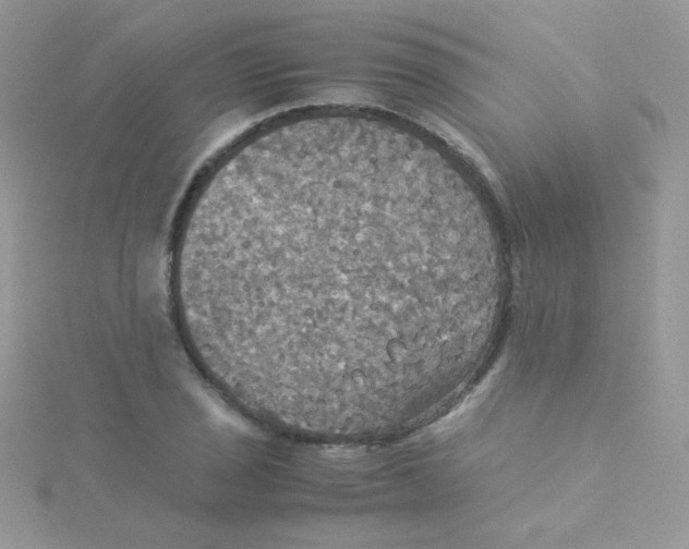 X0000115311029200911231325