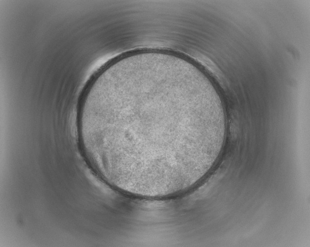 X0000115311030200911231325