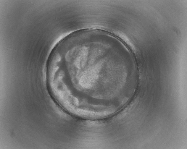 X0000115311032200911231325