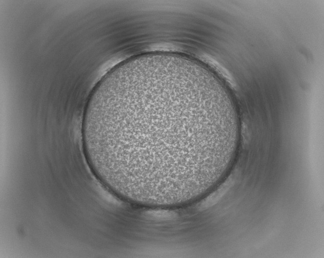 X0000115311033200911231325