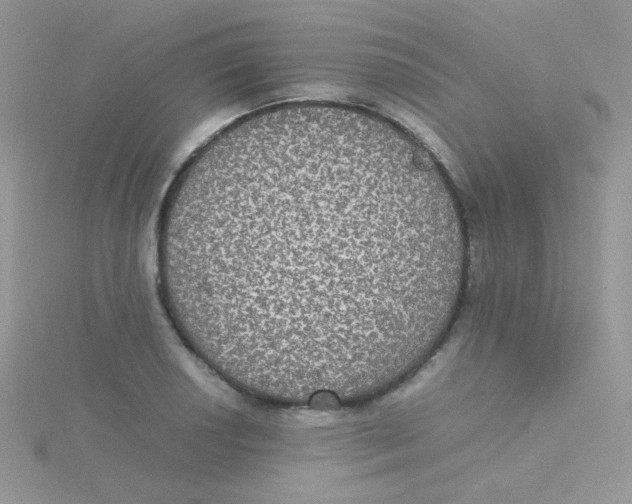 X0000115311034200911231325