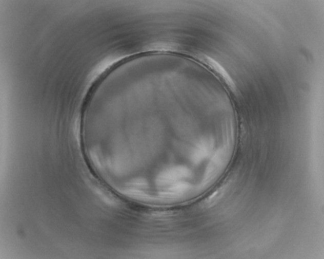 X0000115311035200911231325