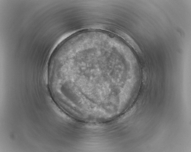 X0000115311036200911231325