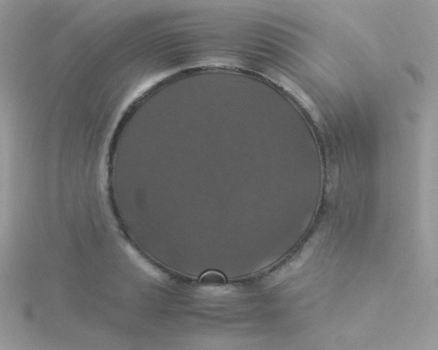 X0000115311037200911231325