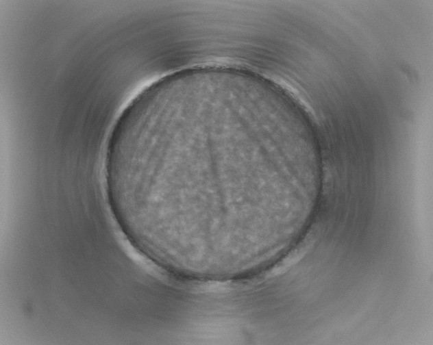 X0000115311038200911231325