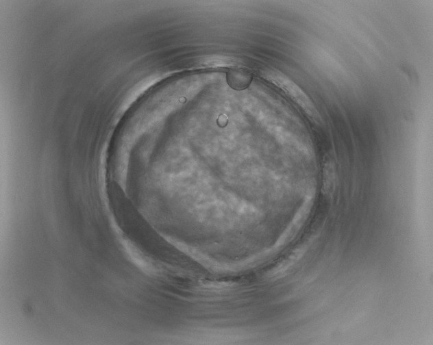 X0000115311039200911231325