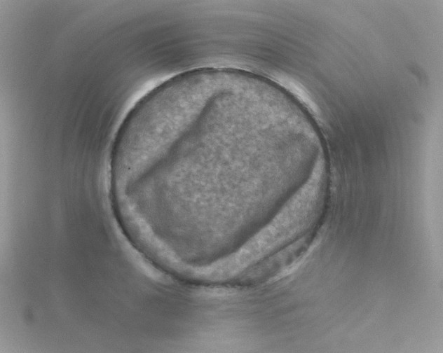 X0000115311040200911231325