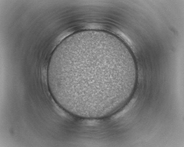 X0000115311041200911231325