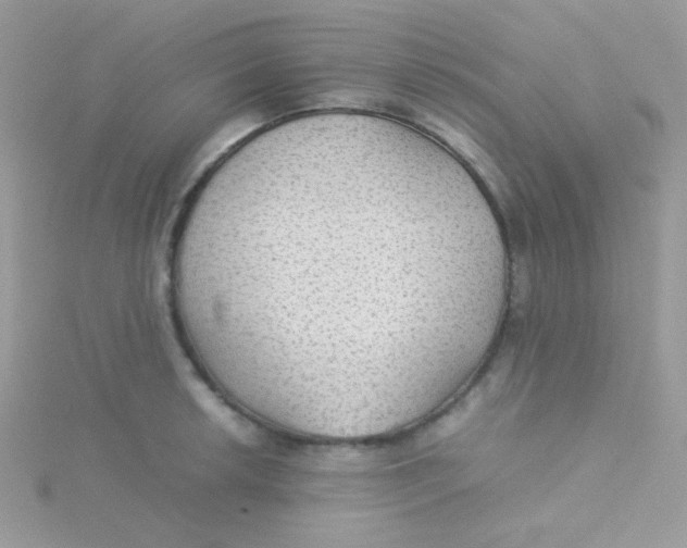 X0000115311042200911231325