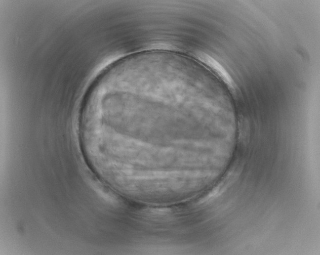 X0000115311043200911231325