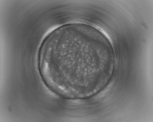 X0000115311045200911231325