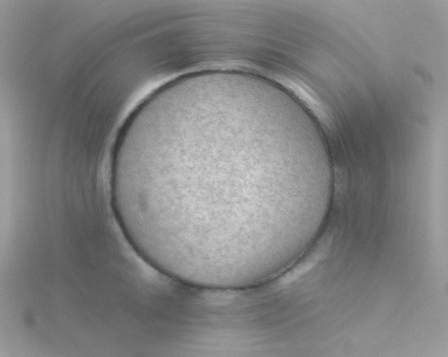 X0000115311046200911231325