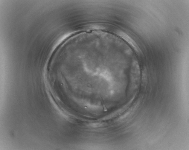 X0000115311047200911231325