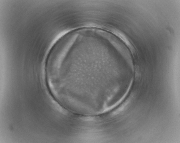 X0000115311048200911231325