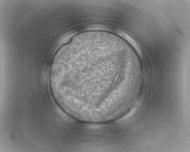 X0000115311049200911231325