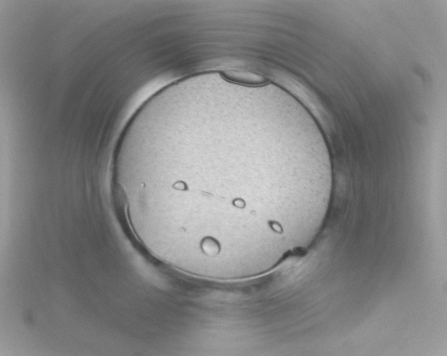 X0000115311050200911231325