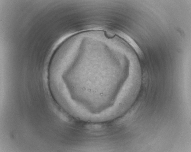 X0000115311051200911231325