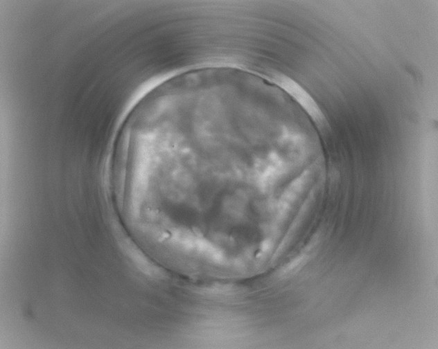 X0000115311052200911231325