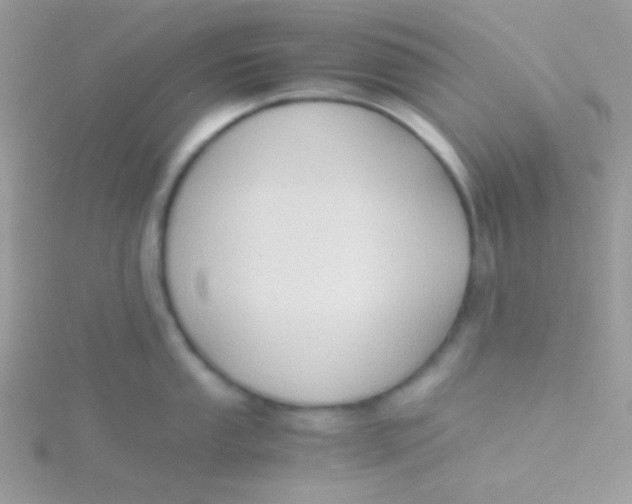 X0000115311053200911231325