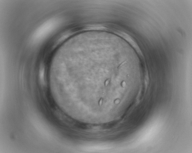 X0000115311054200911231325