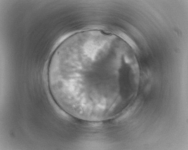 X0000115311055200911231325