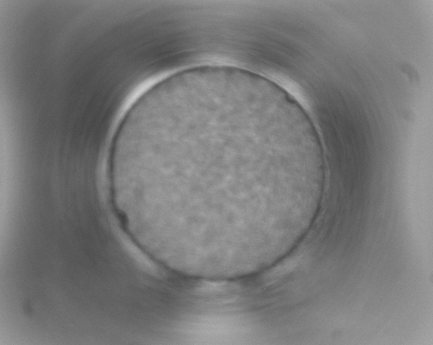 X0000115311056200911231325