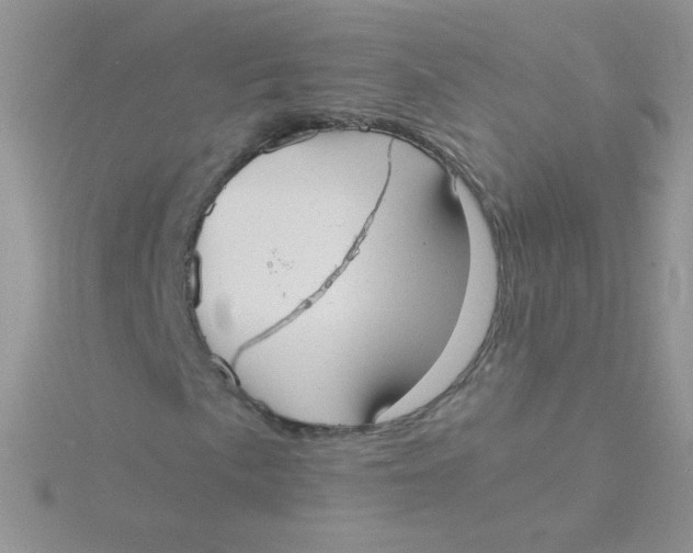 X0000115311057200911231325