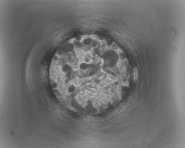 X0000115311059200911231325