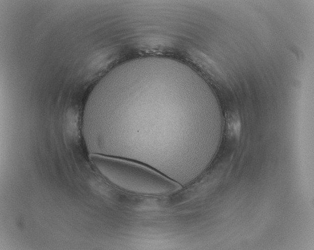 X0000115311060200911231325