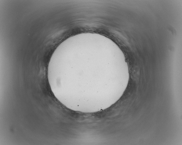 X0000115311061200911231325