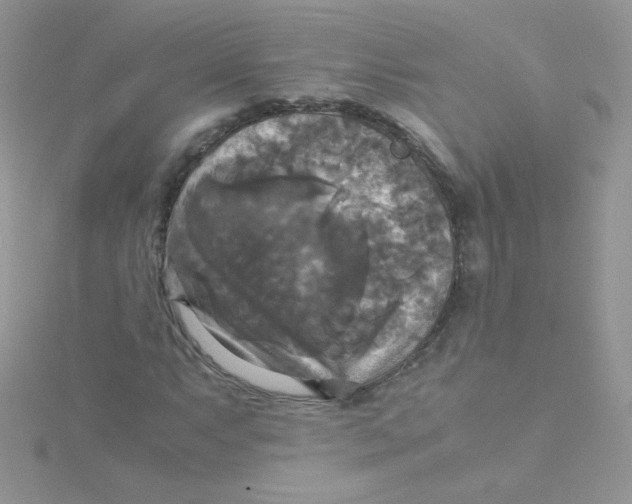 X0000115311063200911231325