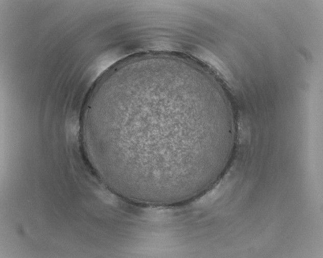 X0000115311065200911231324