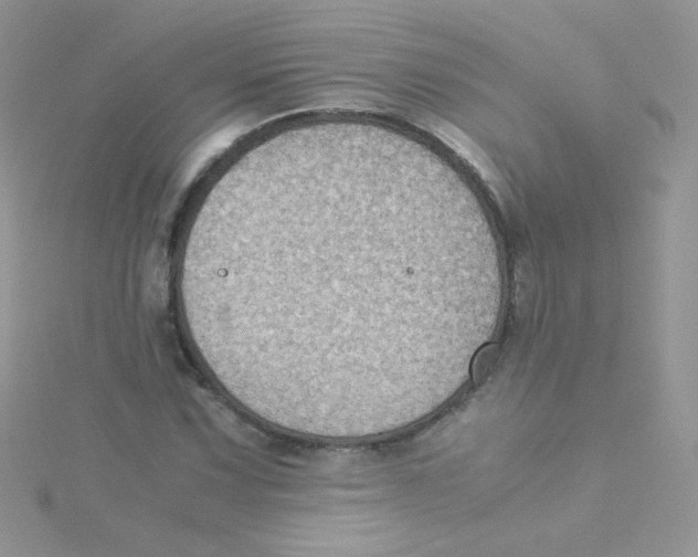 X0000115311067200911231324