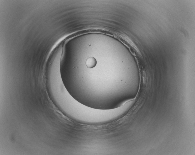 X0000115311068200911231324