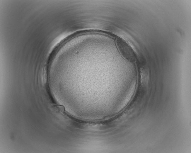 X0000115311069200911231324