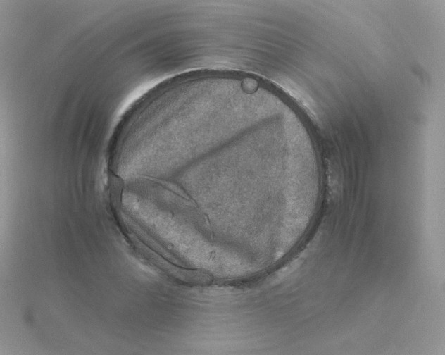 X0000115311070200911231324