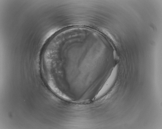 X0000115311071200911231324