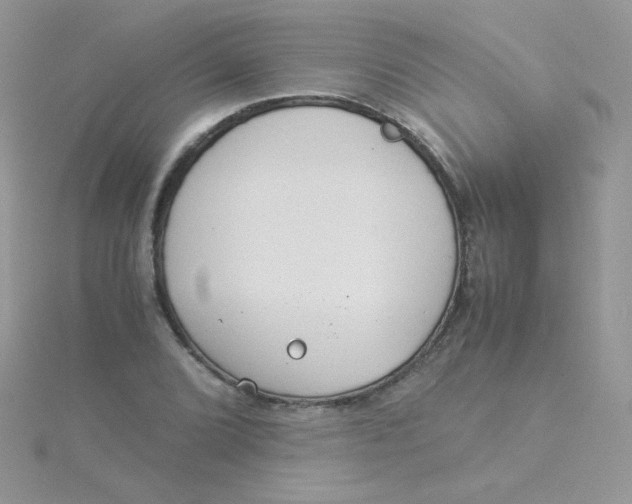 X0000115311072200911231324