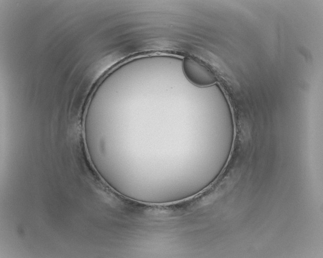 X0000115311073200911231324